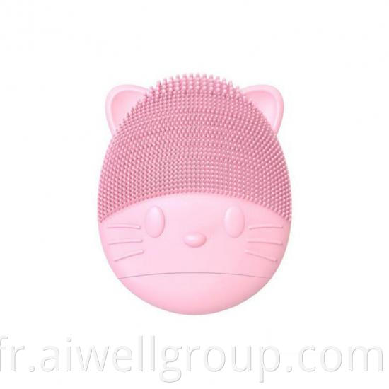 Puff Cleansing Instrument